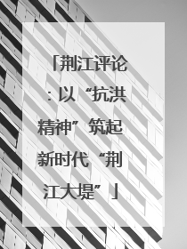 荆江评论：以“抗洪精神”筑起新时代“荆江大堤”