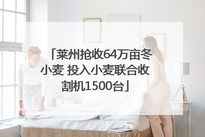 莱州抢收64万亩冬小麦 投入小麦联合收割机1500台