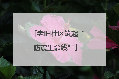 老旧社区筑起“防震生命线”