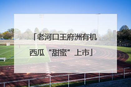 老河口王府洲有机西瓜“甜蜜”上市
