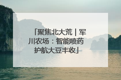 聚焦北大荒｜军川农场：智能喷药护航大豆丰收