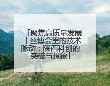 聚焦高质量发展丨丝博会里的技术脉动：陕西科创的突破与想象