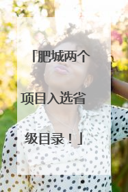 肥城两个项目入选省级目录！