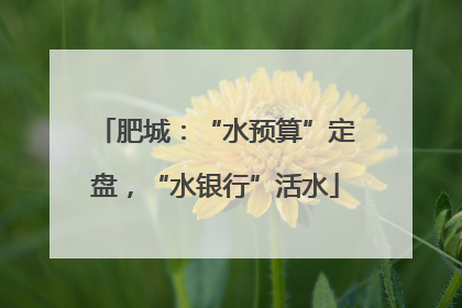 肥城：“水预算”定盘，“水银行”活水