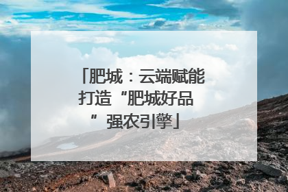 肥城：云端赋能 打造“肥城好品”强农引擎
