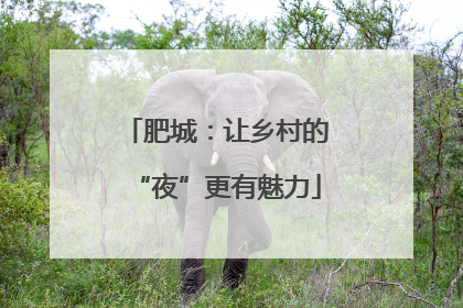 肥城：让乡村的“夜”更有魅力
