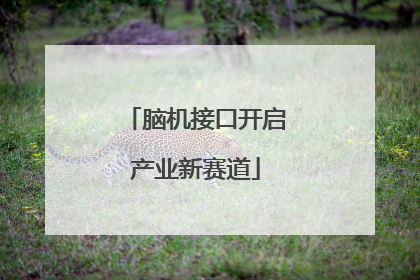 脑机接口开启产业新赛道