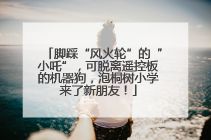 脚踩“风火轮”的“小吒”，可脱离遥控板的机器狗，泡桐树小学来了新朋友！