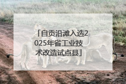 自贡沿滩入选2025年省工业技术改造试点县