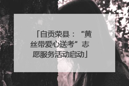 自贡荣县：“黄丝带爱心送考”志愿服务活动启动