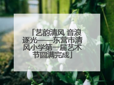 艺韵清风 音浪逐光——东营市清风小学第一届艺术节圆满完成