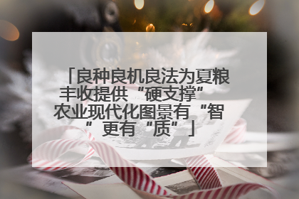 良种良机良法为夏粮丰收提供“硬支撑” 农业现代化图景有“智”更有“质”
