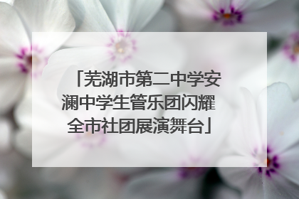 芜湖市第二中学安澜中学生管乐团闪耀全市社团展演舞台