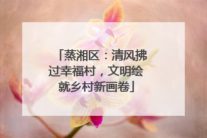 蒸湘区：清风拂过幸福村，文明绘就乡村新画卷