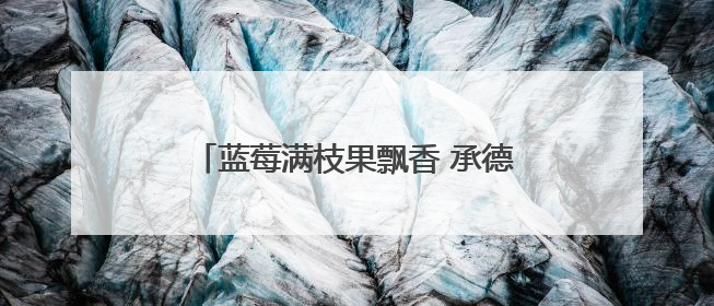 蓝莓满枝果飘香 承德宽城特色产业助振兴