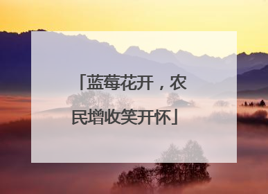 蓝莓花开，农民增收笑开怀