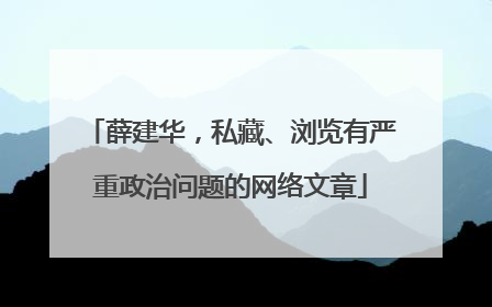薛建华，私藏、浏览有严重政治问题的网络文章