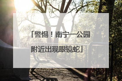 警惕！南宁一公园附近出现眼镜蛇