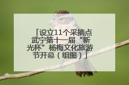 设立11个采摘点 武宁第十一届“新光杯”杨梅文化旅游节开幕（组图）
