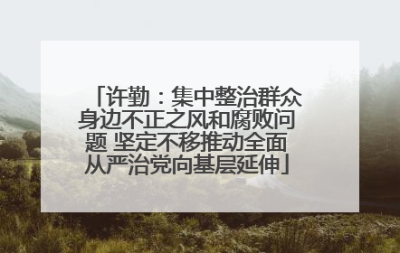 许勤：集中整治群众身边不正之风和腐败问题 坚定不移推动全面从严治党向基层延伸