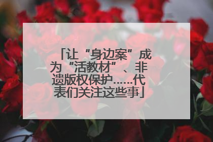 让“身边案”成为“活教材”、非遗版权保护……代表们关注这些事