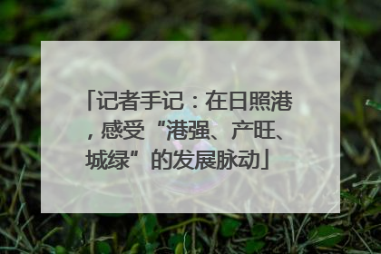 记者手记：在日照港，感受“港强、产旺、城绿”的发展脉动