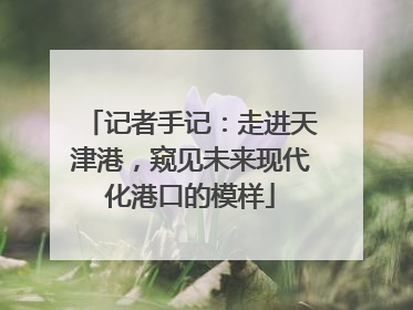 记者手记：走进天津港，窥见未来现代化港口的模样
