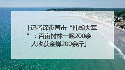 记者深夜直击“捕蝉大军”：百亩树林一晚200余人收获金蝉200余斤