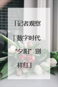 记者观察｜数字时代“夕阳”别样红