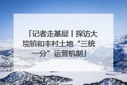 记者走基层丨探访大垸镇和丰村土地“三统一分”运营机制
