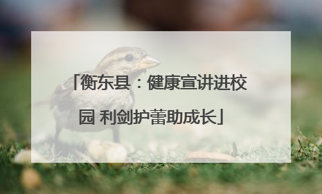 衡东县：健康宣讲进校园 利剑护蕾助成长