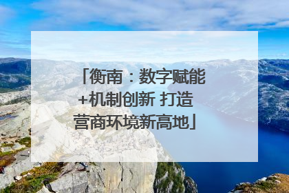 衡南：数字赋能+机制创新 打造营商环境新高地