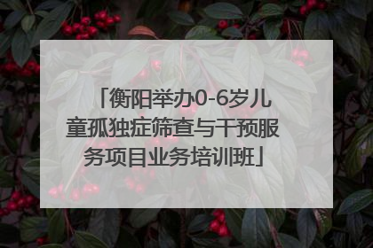 衡阳举办0-6岁儿童孤独症筛查与干预服务项目业务培训班