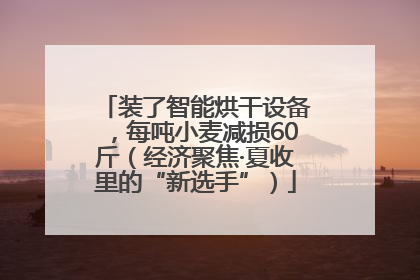 装了智能烘干设备，每吨小麦减损60斤（经济聚焦·夏收里的“新选手”）