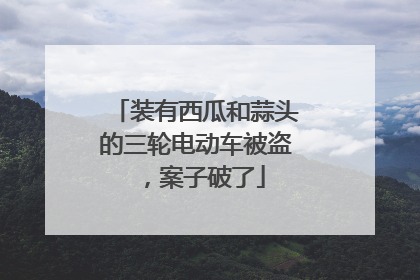 装有西瓜和蒜头的三轮电动车被盗，案子破了