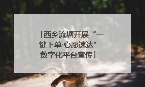 西乡流塘开展“一键下单·心愿速达”数字化平台宣传