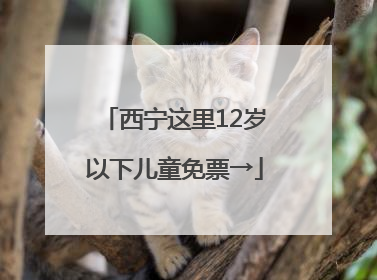 西宁这里12岁以下儿童免票→