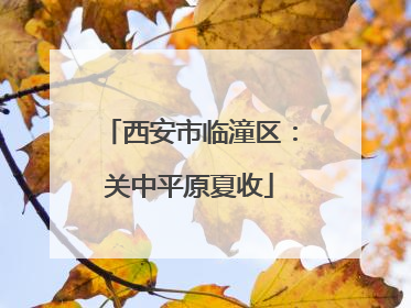西安市临潼区：关中平原夏收