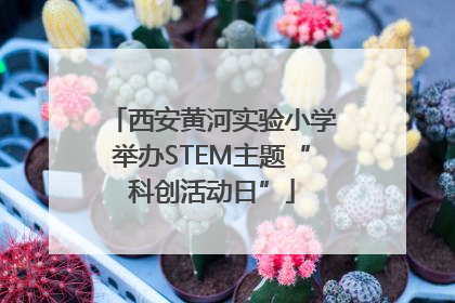 西安黄河实验小学举办STEM主题“科创活动日”