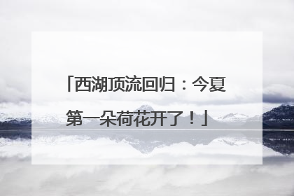 西湖顶流回归：今夏第一朵荷花开了！