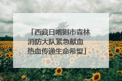 西藏日喀则市森林消防大队紧急献血 热血传递生命希望