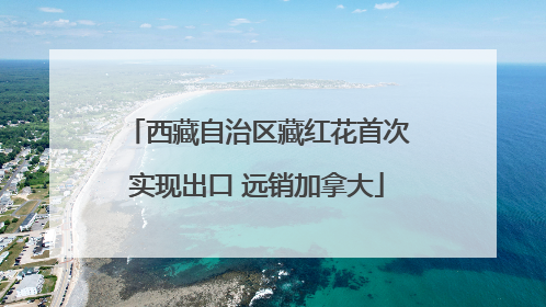 西藏自治区藏红花首次实现出口 远销加拿大