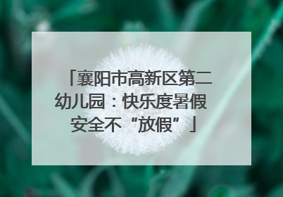 襄阳市高新区第二幼儿园：快乐度暑假 安全不“放假”