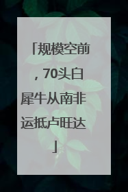 规模空前，70头白犀牛从南非运抵卢旺达