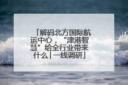 解码北方国际航运中心，“津港智慧”给全行业带来什么│一线调研