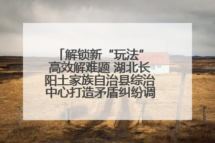 解锁新“玩法” 高效解难题 湖北长阳土家族自治县综治中心打造矛盾纠纷调处“终点站”