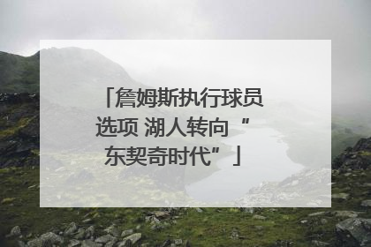 詹姆斯执行球员选项 湖人转向“东契奇时代”