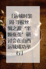 运城时装周·寻根丝绸之源“半颗蚕茧”研讨会在山西运城成功举行