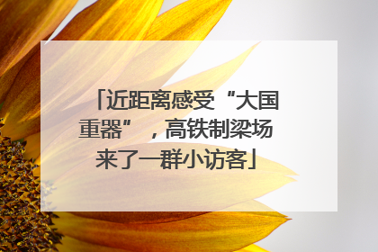 近距离感受“大国重器”，高铁制梁场来了一群小访客