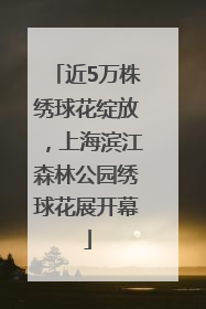 近5万株绣球花绽放，上海滨江森林公园绣球花展开幕